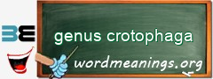 WordMeaning blackboard for genus crotophaga